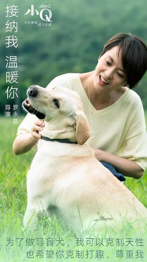 SouthernNewHampshireUniversity电子工程学位证书